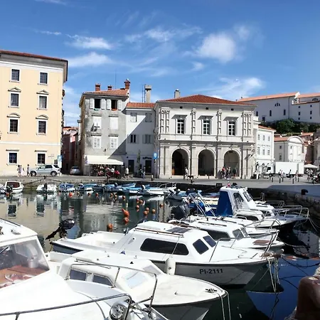 Medved Piran
