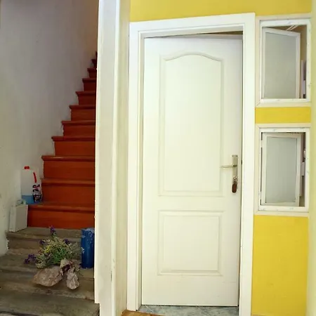 Medved Apartamento *