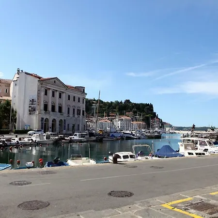 Medved * Piran