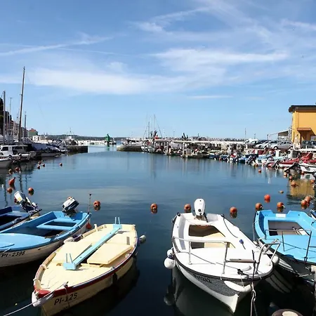 Medved Piran